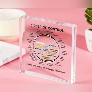 2D Flat Office Decor | Mental Health | Art | Things I Can Control | Acrylic